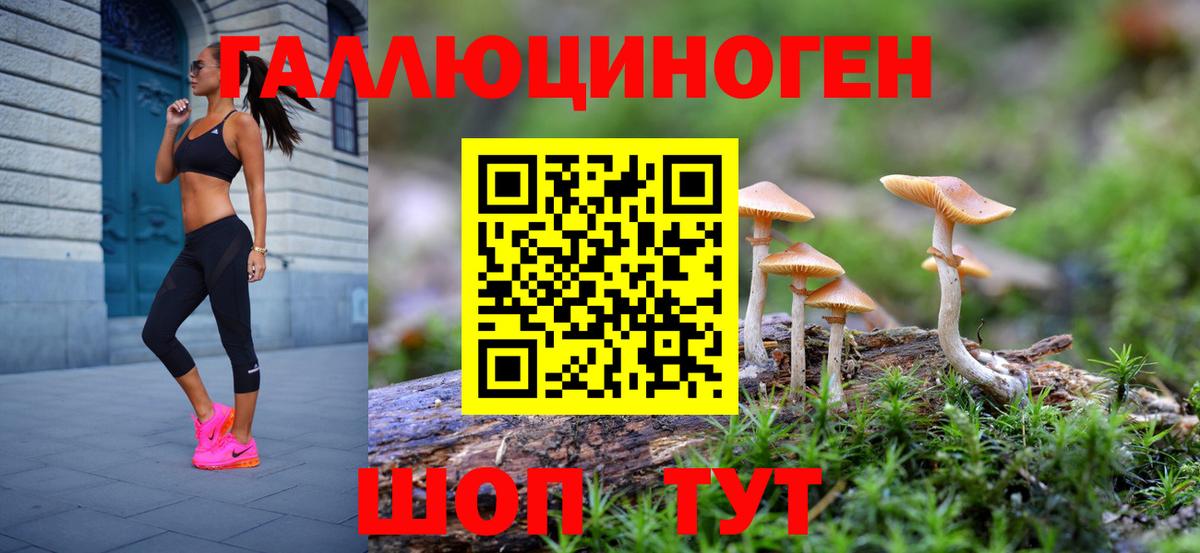Псилоцибиновые грибы MAGIC MUSHROOMS  Вход с VPN  Галлюциногенные грибы ЛСД  Балашов 
