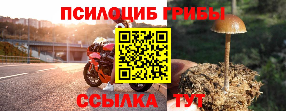 Псилоцибиновые грибы прущие грибы Балашов