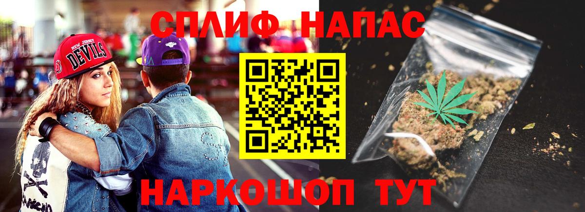 Бошки Шишки план Балашов